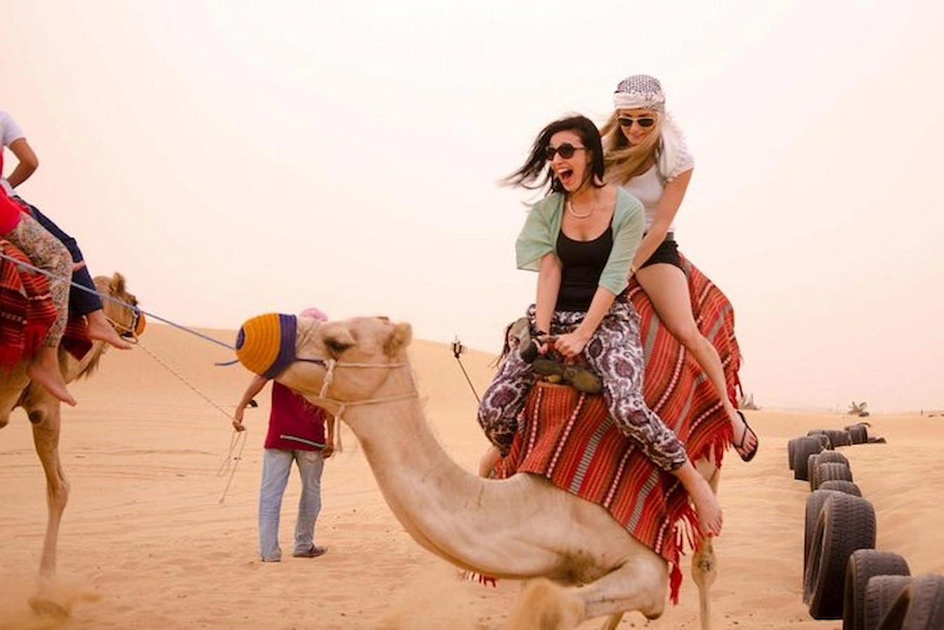 Camel Ride Experience — image 1