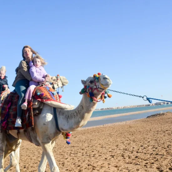 Camel Ride Experience — image 4