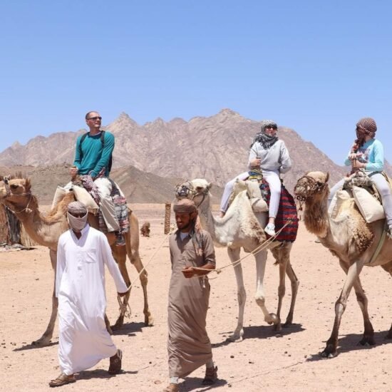 Camel Ride Experience — image 5