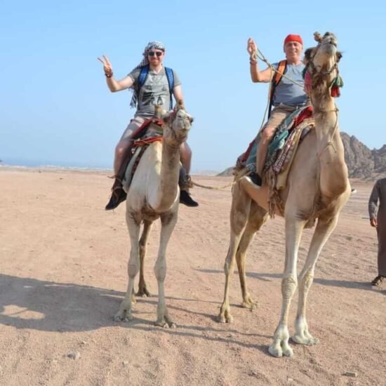 Camel Ride Experience — image 6