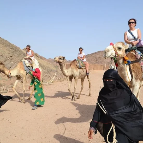 Camel Ride Experience — image 7