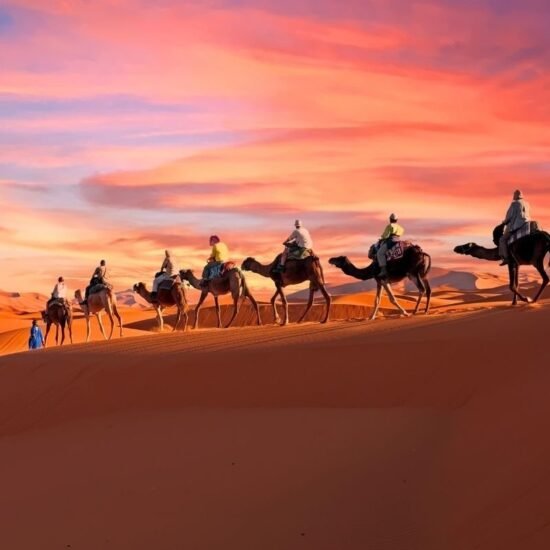 Camel Ride Experience — image 8