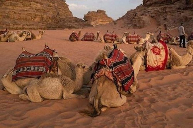 Desert Safari — image 1