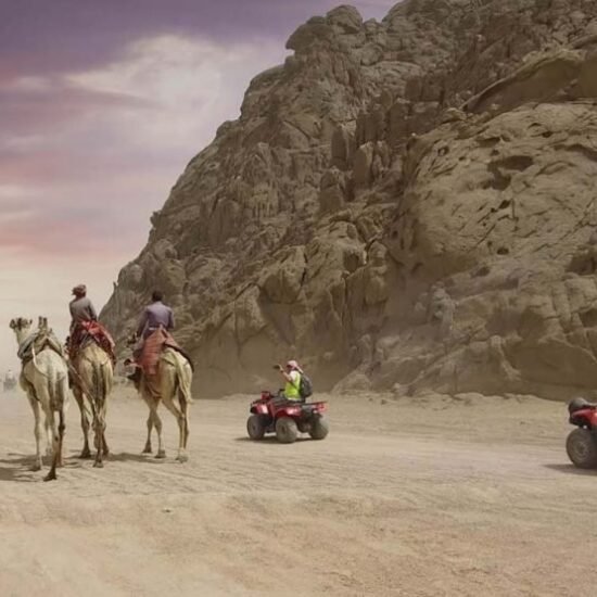 Desert Safari — image 2
