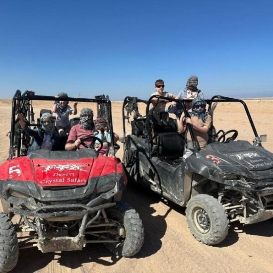 Desert Safari — image 3