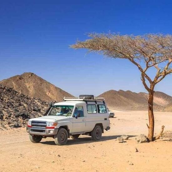 Desert Safari — image 5