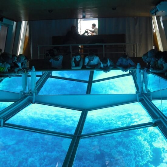 Glass Bottom Boat — image 3