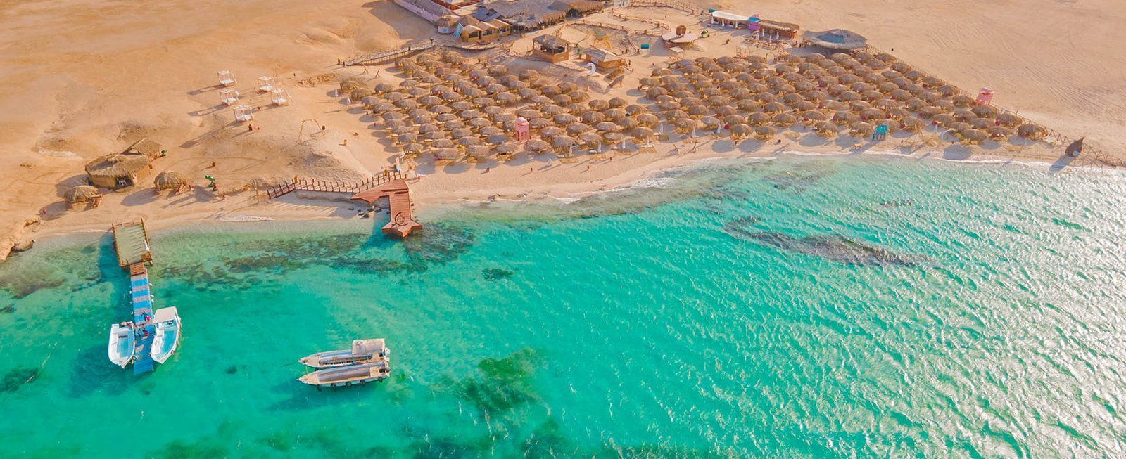 Paradise Island Trip — image 1