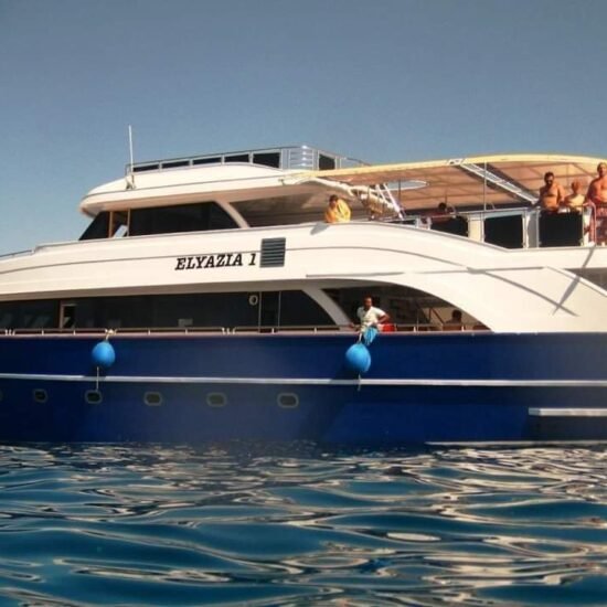Private Boat Trip — image 3