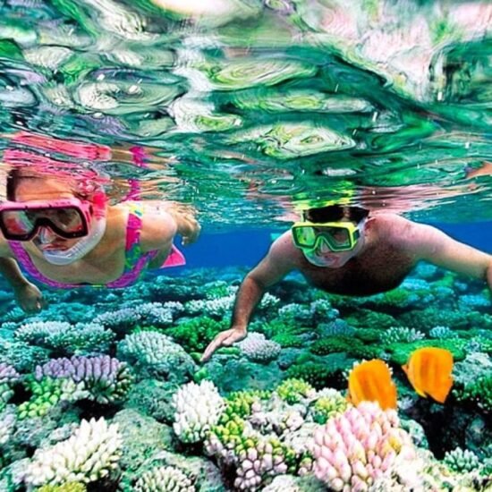 Scuba Diving — image 3