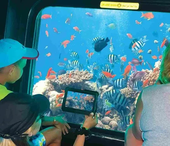 Semi-Submarine Tour — image 3