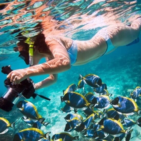 Snorkeling Tour — image 3