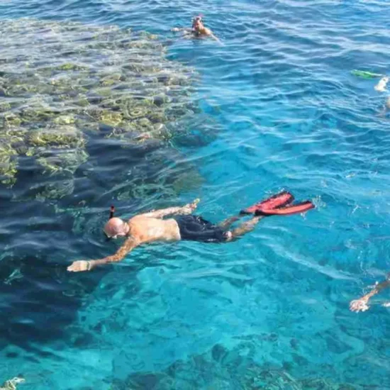 Snorkeling Tour — image 5