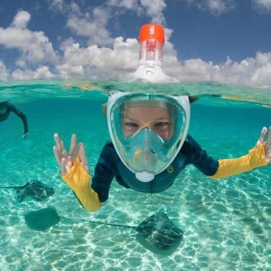 Snorkeling Tour — image 7