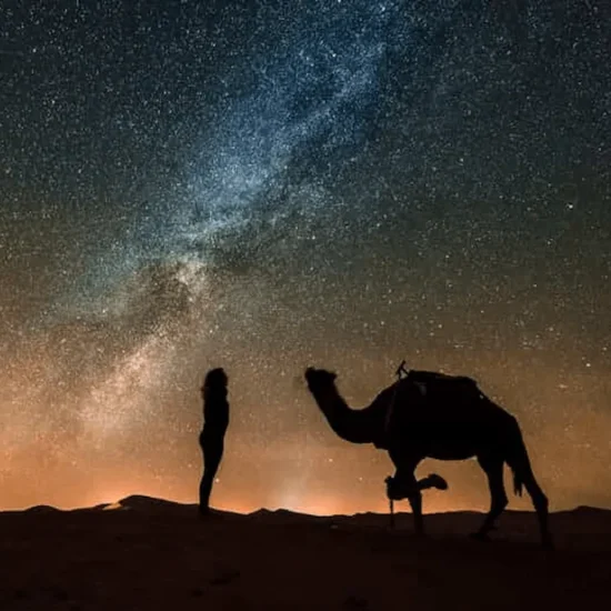 Stargazing Jeep Safari Adventure — image 3