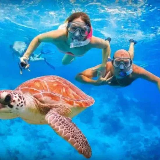 Turtle Bay Snorkeling — image 2