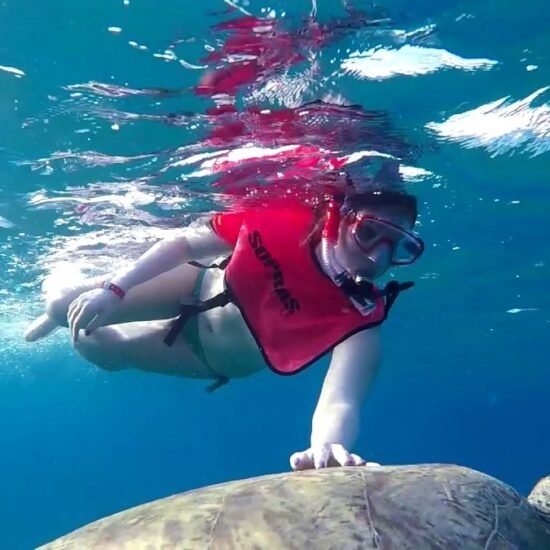 Turtle Bay Snorkeling — image 3
